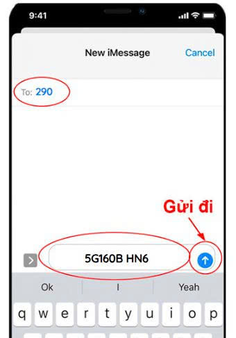 Cú pháp 5GV160B Viettel