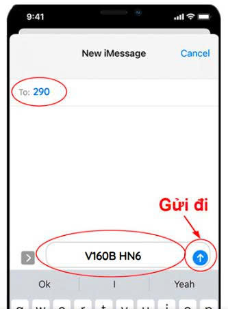 Cú pháp đăng ký V160B Viettel