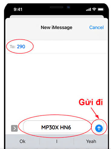Gói cước Mp30X Viettel